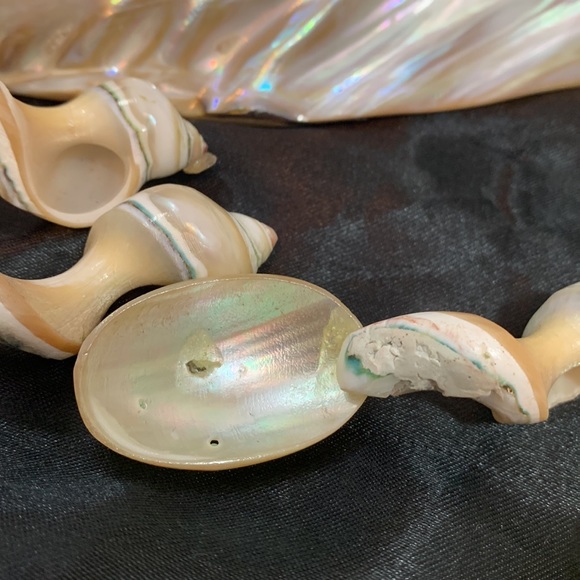 Polished Pearlized Large Clamshell Serving Dish and 4 Conch & Clamshell Spoon - Picture 4 of 12